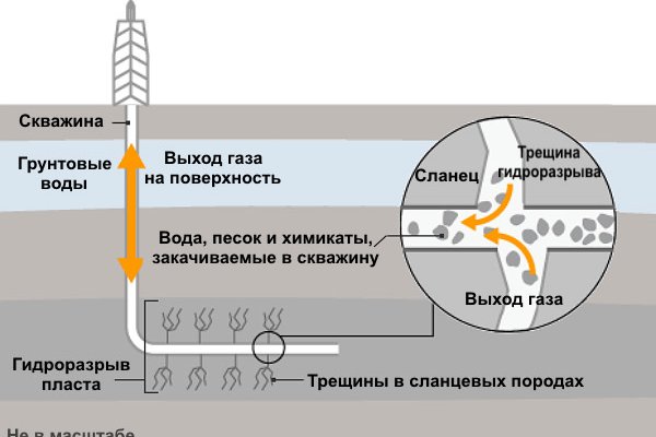 Мега зеркала моментальных магазинов